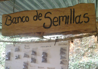 Banco de Semillas